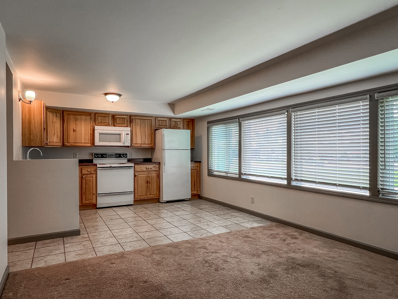 1016 West Bluff Street - 6